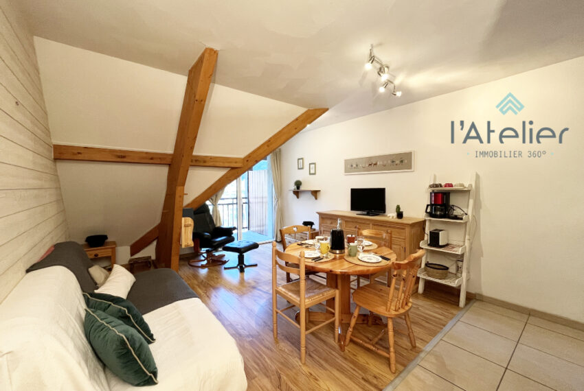 appartement-T3-saintlary-pyrenees-investissement-location-vue-montagnes-balcon-village-achat-acheter-bois-valleedaure-station-skis-spa-latelierimmo.com-27